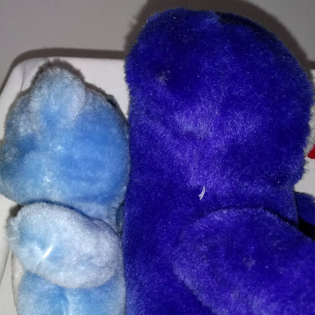 Anche gli orsi si tingono di blu